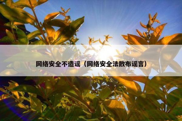 网络安全不造谣（网络安全法散布谣言）