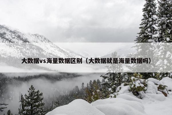 大数据vs海量数据区别（大数据就是海量数据吗）