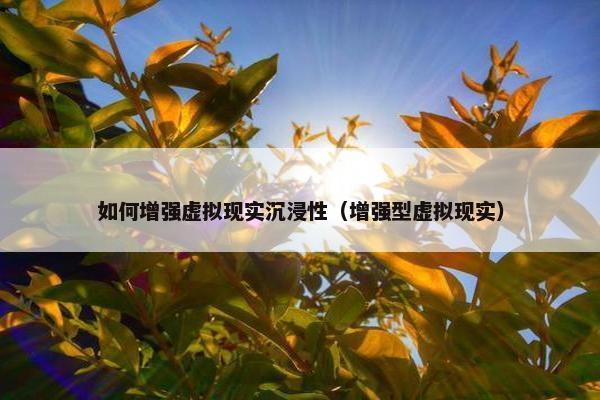 如何增强虚拟现实沉浸性（增强型虚拟现实）
