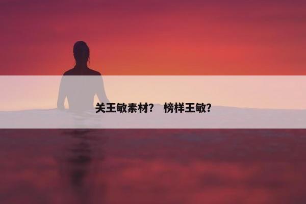 关王敏素材？ 榜样王敏？
