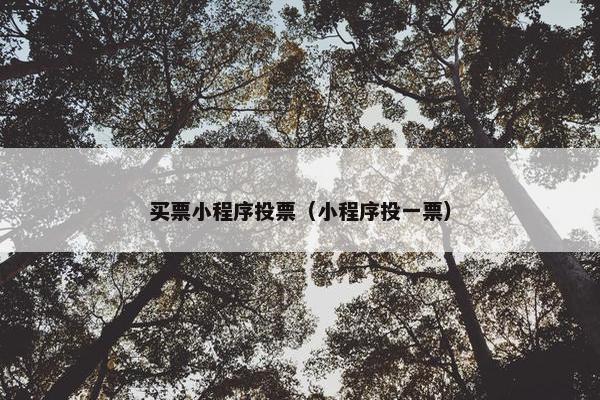 买票小程序投票（小程序投一票）