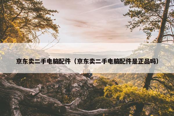 京东卖二手电脑配件（京东卖二手电脑配件是正品吗）