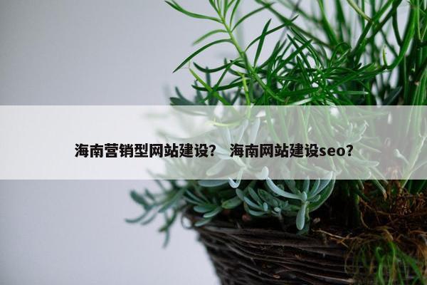 海南营销型网站建设？ 海南网站建设seo？