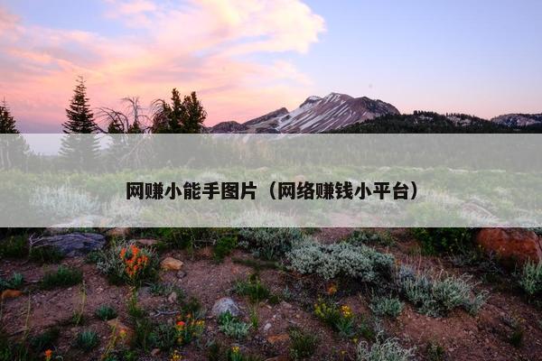 网赚小能手图片（网络赚钱小平台）