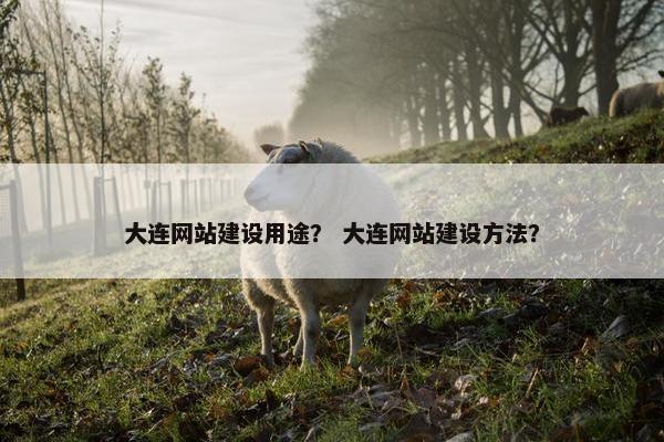 大连网站建设用途？ 大连网站建设方法？