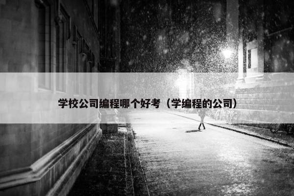 学校公司编程哪个好考（学编程的公司）