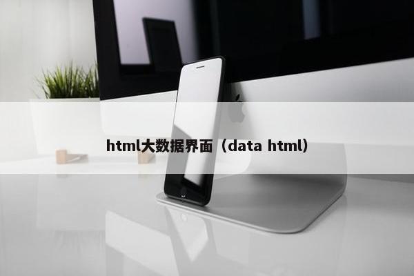 html大数据界面（data html）