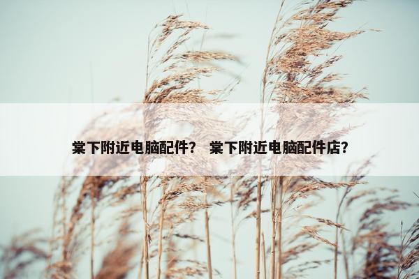 棠下附近电脑配件？ 棠下附近电脑配件店？