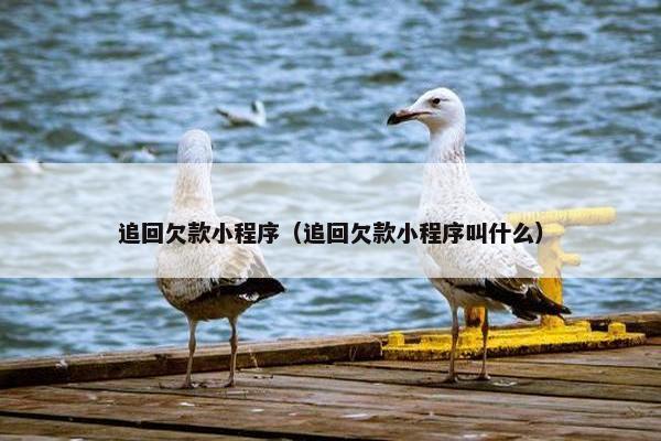 追回欠款小程序（追回欠款小程序叫什么）