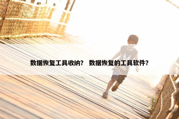 数据恢复工具收纳？ 数据恢复的工具软件？