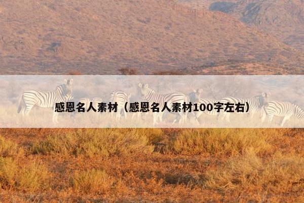 感恩名人素材（感恩名人素材100字左右）