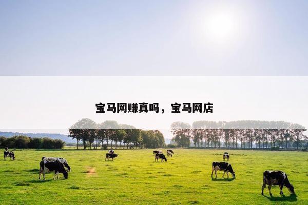 宝马网赚真吗，宝马网店