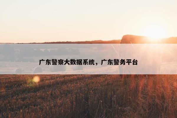 广东警察大数据系统，广东警务平台