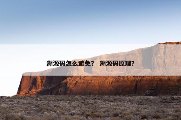 溯源码怎么避免？ 溯源码原理？