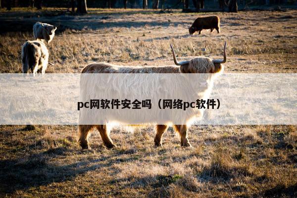 pc网软件安全吗（网络pc软件）