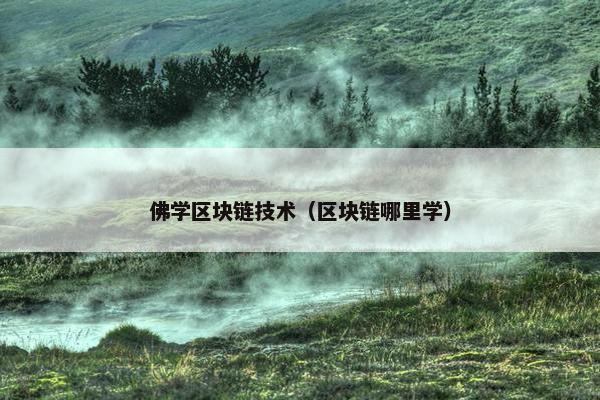 佛学区块链技术（区块链哪里学）