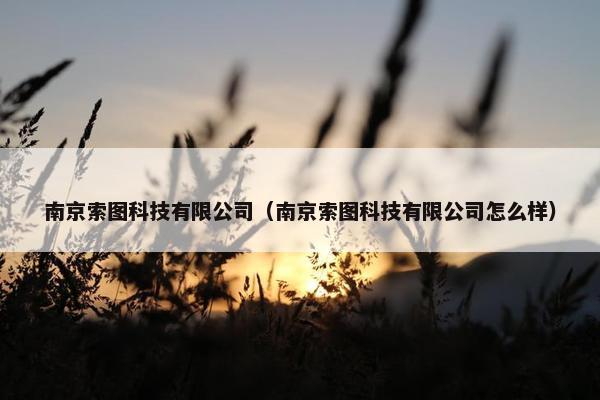 南京索图科技有限公司（南京索图科技有限公司怎么样）
