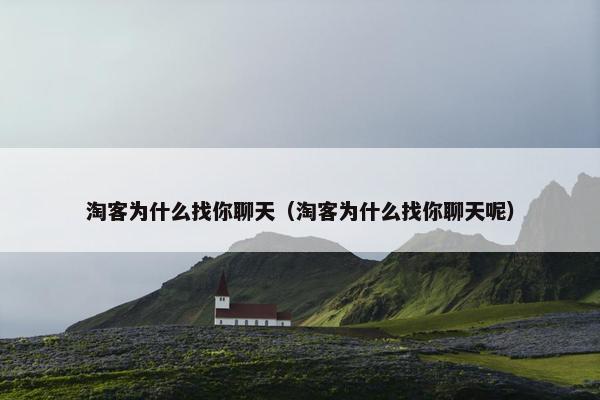 淘客为什么找你聊天（淘客为什么找你聊天呢）