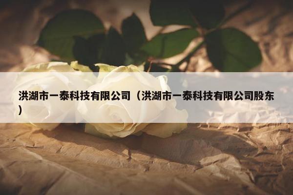 洪湖市一泰科技有限公司（洪湖市一泰科技有限公司股东）