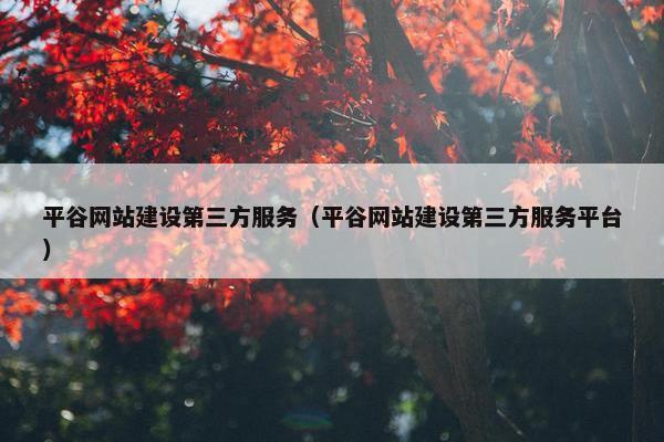 平谷网站建设第三方服务（平谷网站建设第三方服务平台）