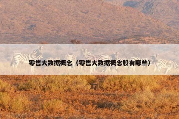 零售大数据概念（零售大数据概念股有哪些）