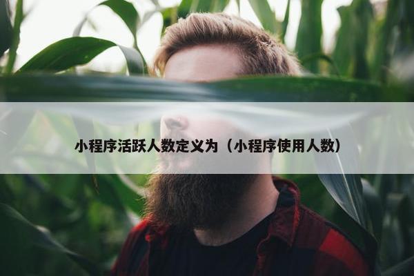 小程序活跃人数定义为（小程序使用人数）
