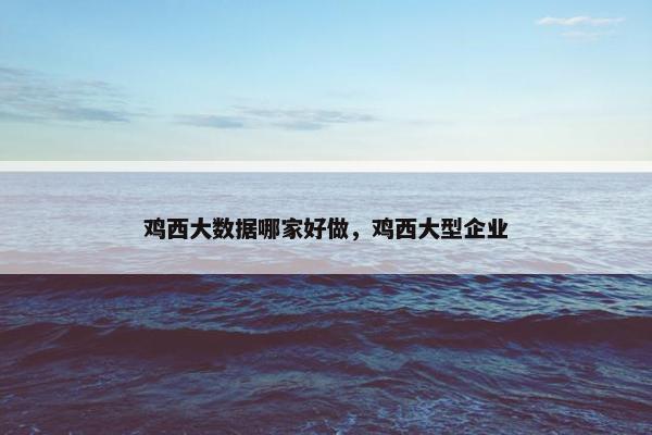 鸡西大数据哪家好做，鸡西大型企业