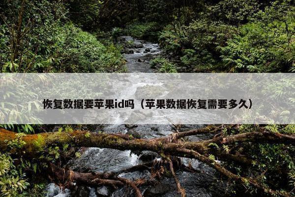 恢复数据要苹果id吗（苹果数据恢复需要多久）