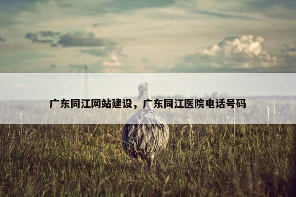 广东同江网站建设，广东同江医院电话号码