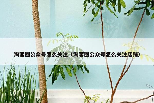 淘客圈公众号怎么关注（淘客圈公众号怎么关注店铺）