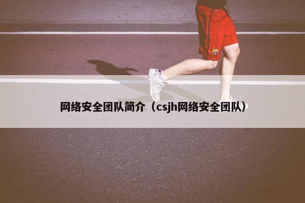 网络安全团队简介（csjh网络安全团队）