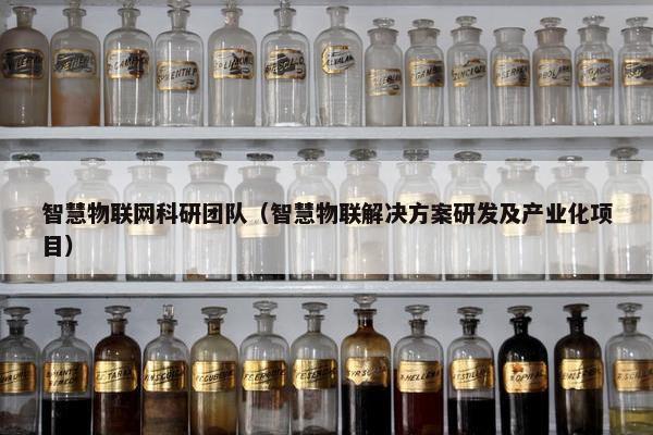 智慧物联网科研团队（智慧物联解决方案研发及产业化项目）
