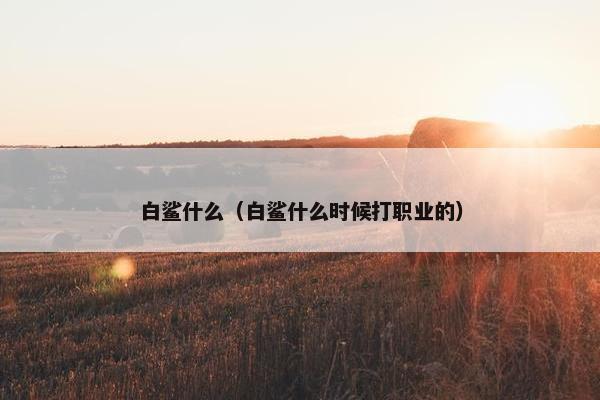 白鲨什么（白鲨什么时候打职业的）