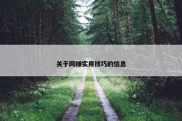 关于网赚实用技巧的信息