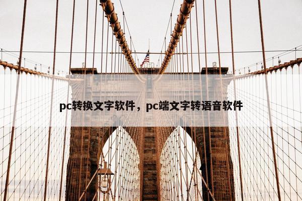 pc转换文字软件，pc端文字转语音软件