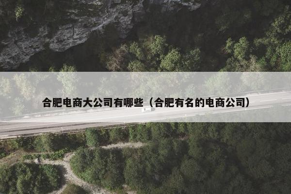 合肥电商大公司有哪些（合肥有名的电商公司）