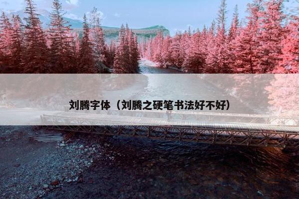 刘腾字体（刘腾之硬笔书法好不好）