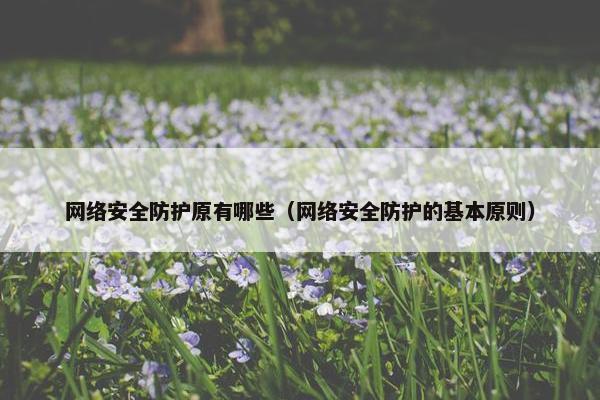 网络安全防护原有哪些（网络安全防护的基本原则）