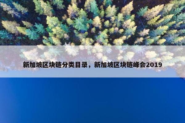 新加坡区块链分类目录，新加坡区块链峰会2019