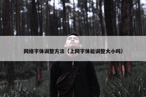 网络字体调整方法（上网字体能调整大小吗）