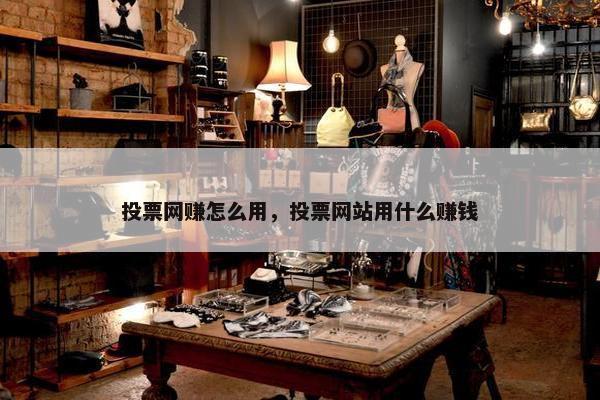 投票网赚怎么用，投票网站用什么赚钱