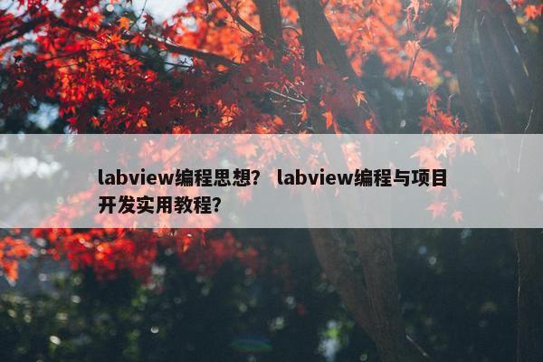 labview编程思想？ labview编程与项目开发实用教程？