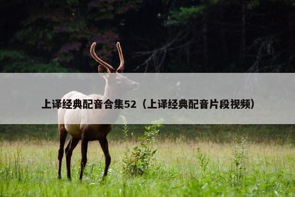 上译经典配音合集52（上译经典配音片段视频）