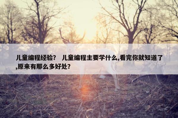 儿童编程经验？ 儿童编程主要学什么,看完你就知道了,原来有那么多好处？