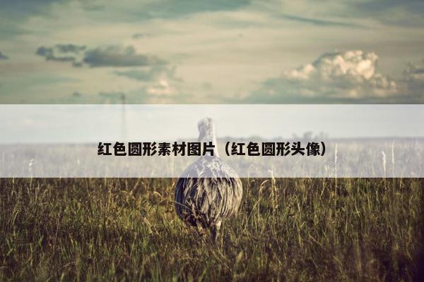 红色圆形素材图片（红色圆形头像）