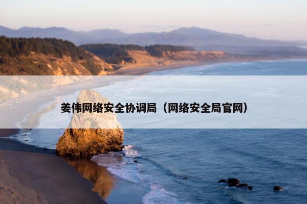 姜伟网络安全协调局（网络安全局官网）