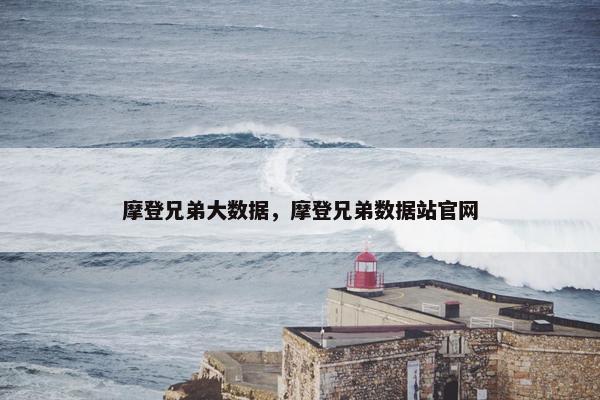 摩登兄弟大数据，摩登兄弟数据站官网