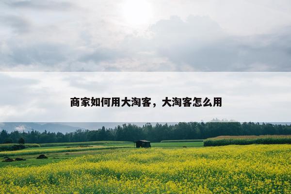 商家如何用大淘客，大淘客怎么用
