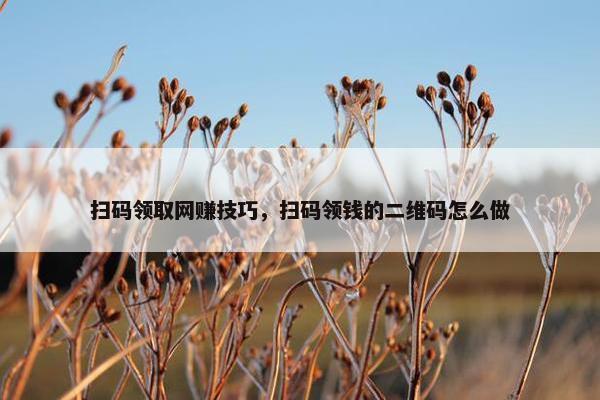 扫码领取网赚技巧，扫码领钱的二维码怎么做
