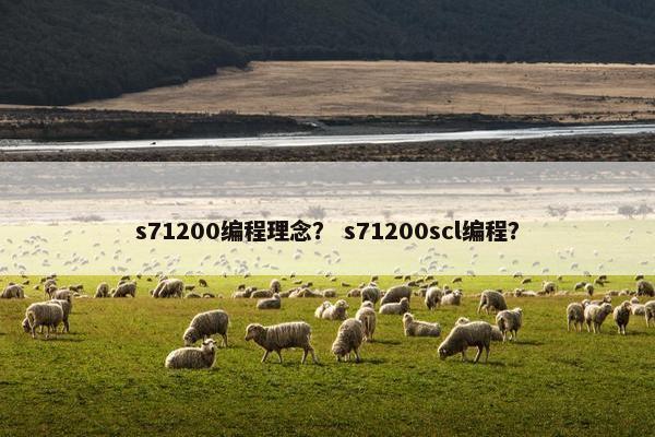 s71200编程理念？ s71200scl编程？